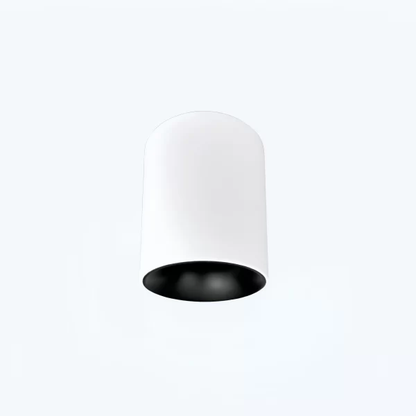 Surface Mounted Ceiling Light