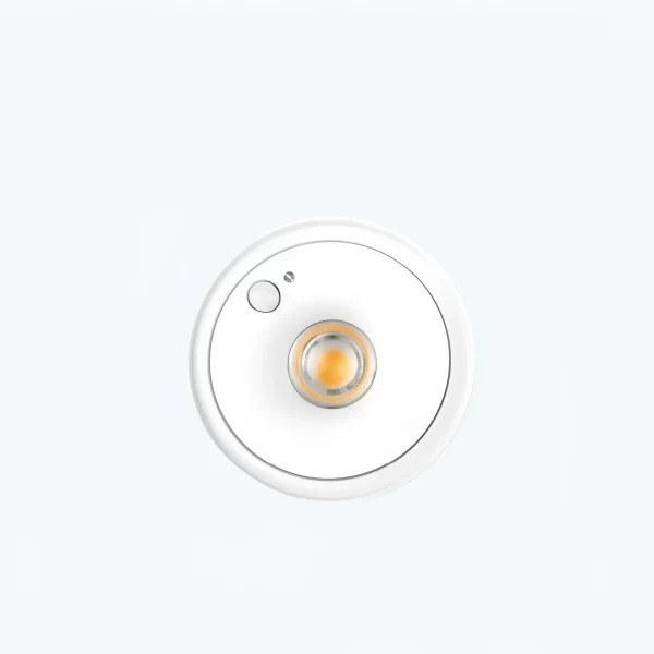 Surface Mounted Downlight with Sensor - 图片 2