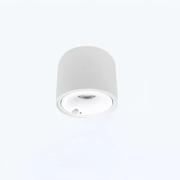 Surface Mounted Downlight with Sensor