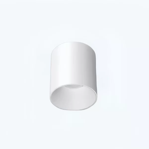 Round Surface Mounted Ceiling Light